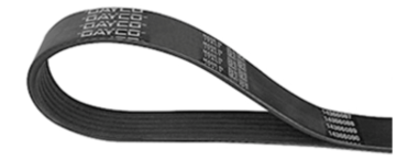 Pas wielorowkowy 8PK 1815mm Fendt Massey Ferguson 4296120M1