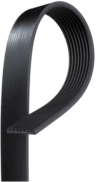 Pas wielorowkowy 8PK 2710mm R128210 R202629 R269530 7700062485
