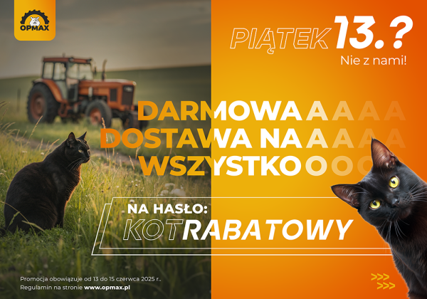 Czarny kot? Tym razem przynosi zniżkę!